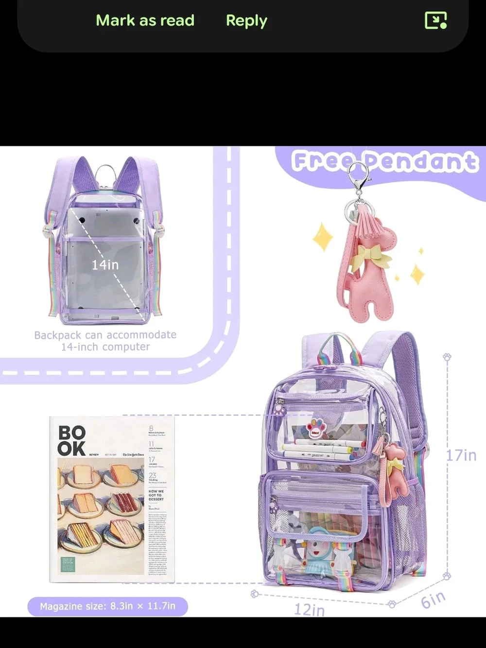 N/A transparent backpack